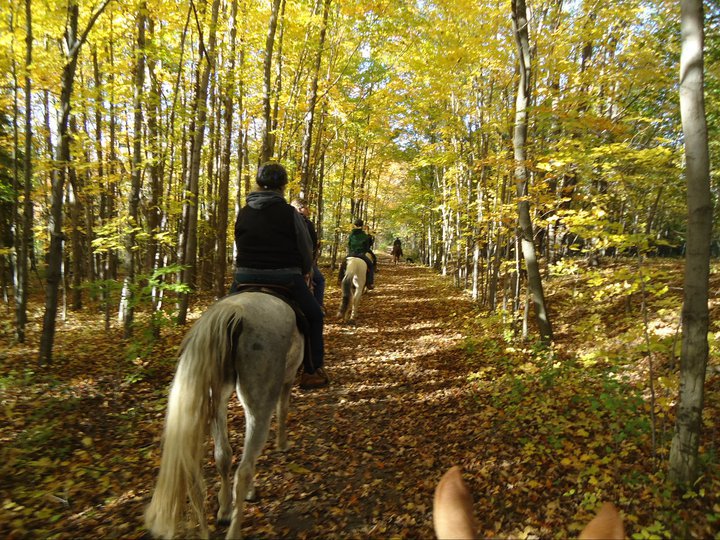 Painted Bar Stables Trail Ride